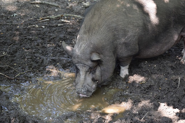 而是一个长 而是一个长