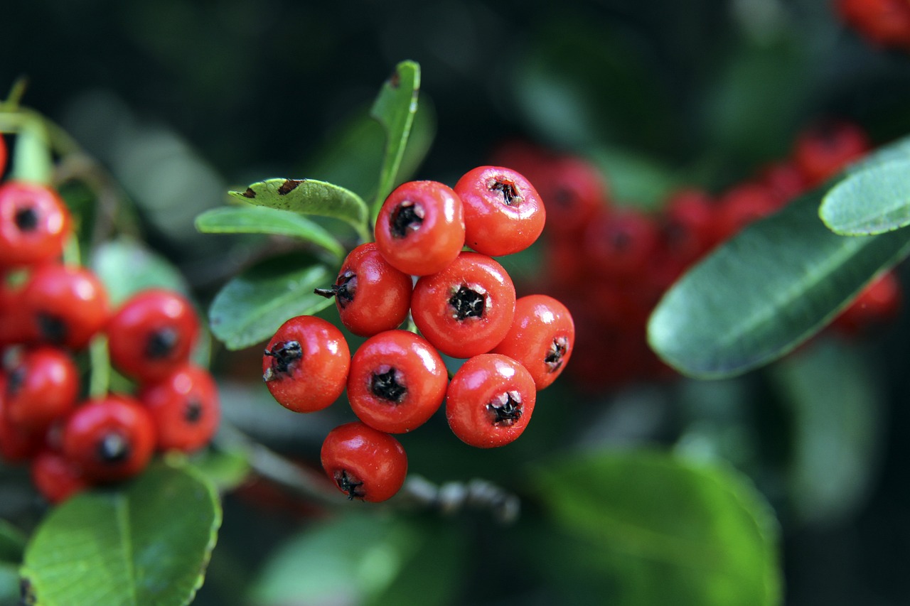 另一方面 另一方面