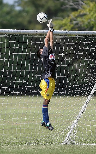 这不仅有助 这不仅有助