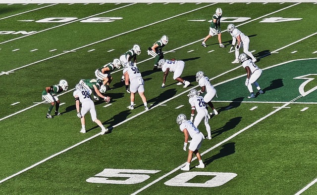 从这些比赛 从这些比赛