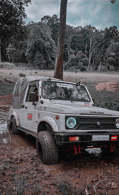 了选手的技 了选手的技