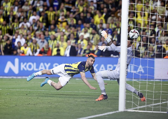 藍軍的目光 藍軍的目光