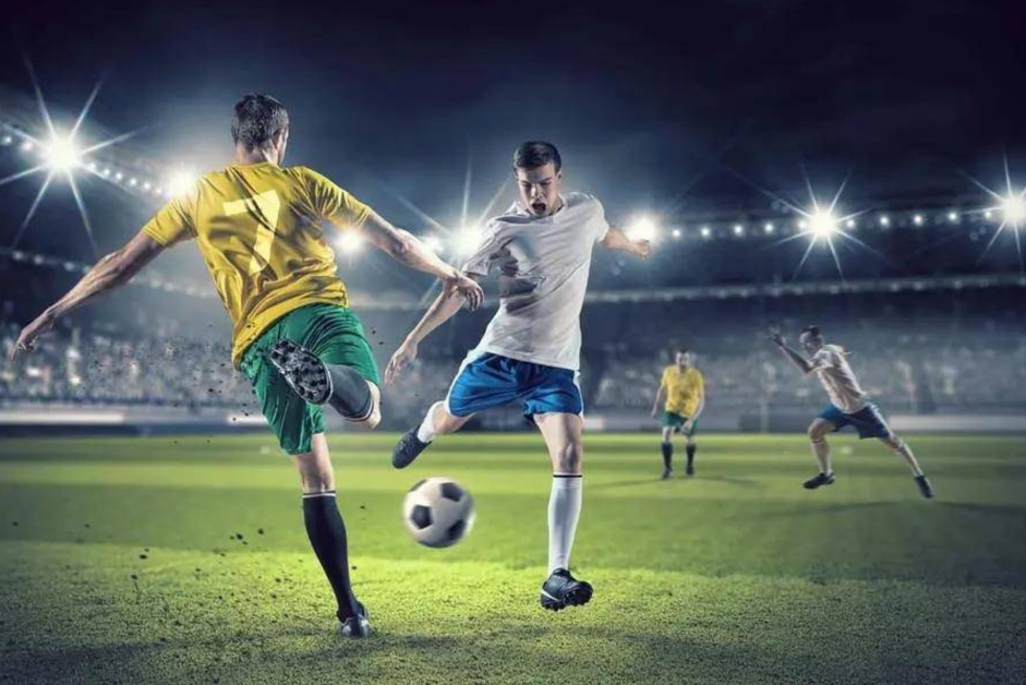 增添了观赏 增添了观赏