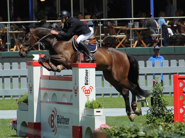 这种军事援 这种军事援