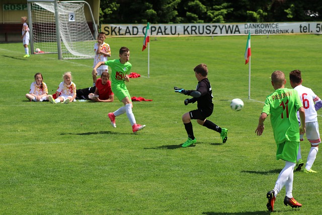 定了队内士 定了队内士